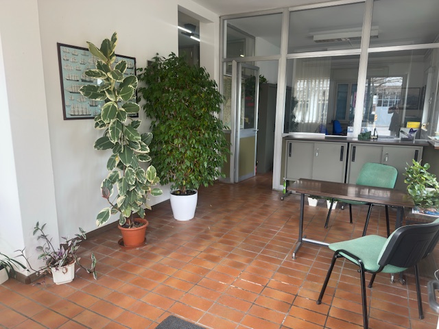 Media numero 16 di Capannoni con appartamento