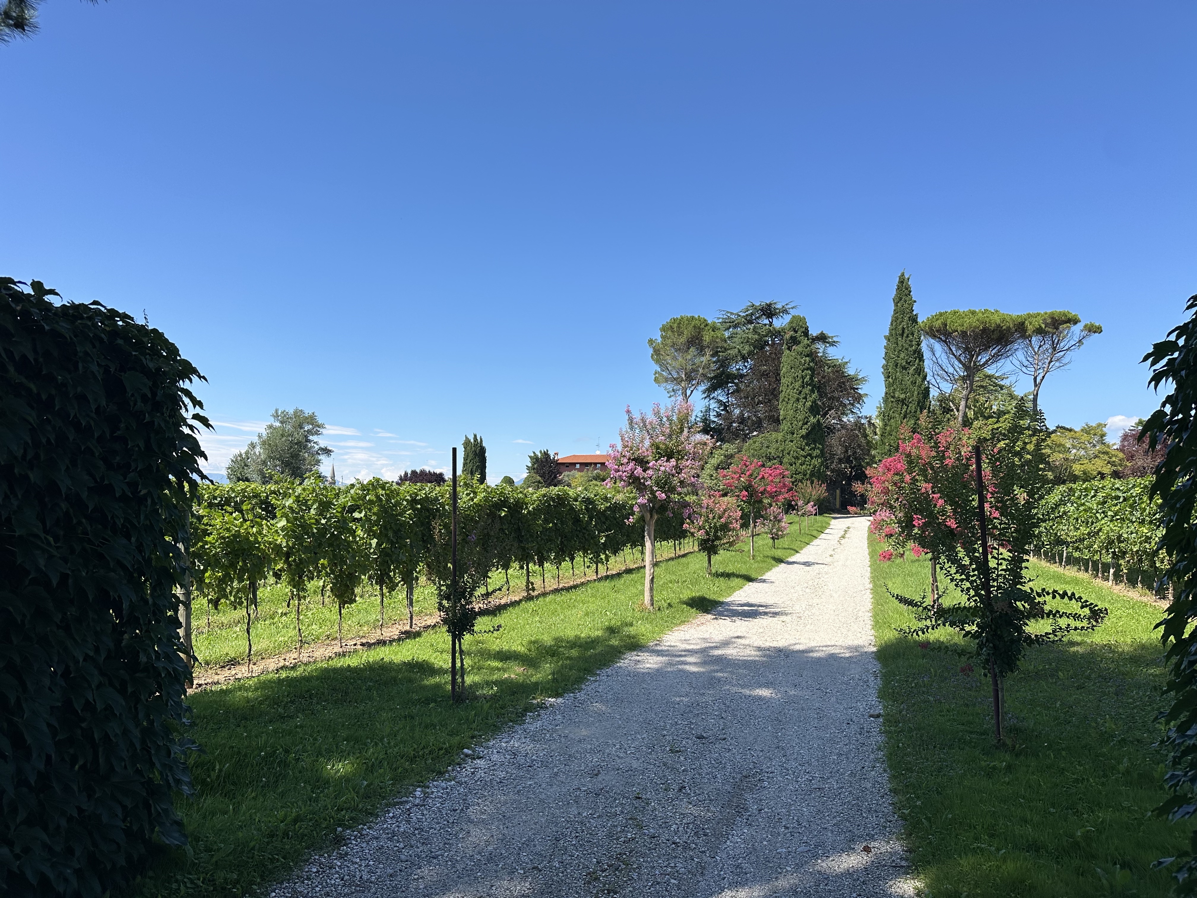 Media numero 20 di Tricesimo - Casa in corte