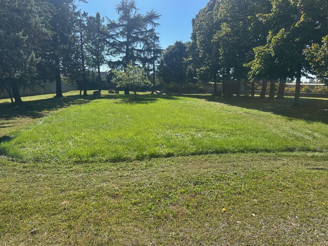 Media numero 5 di Pasian di Prato - Ristorante con laboratorio e magazzino