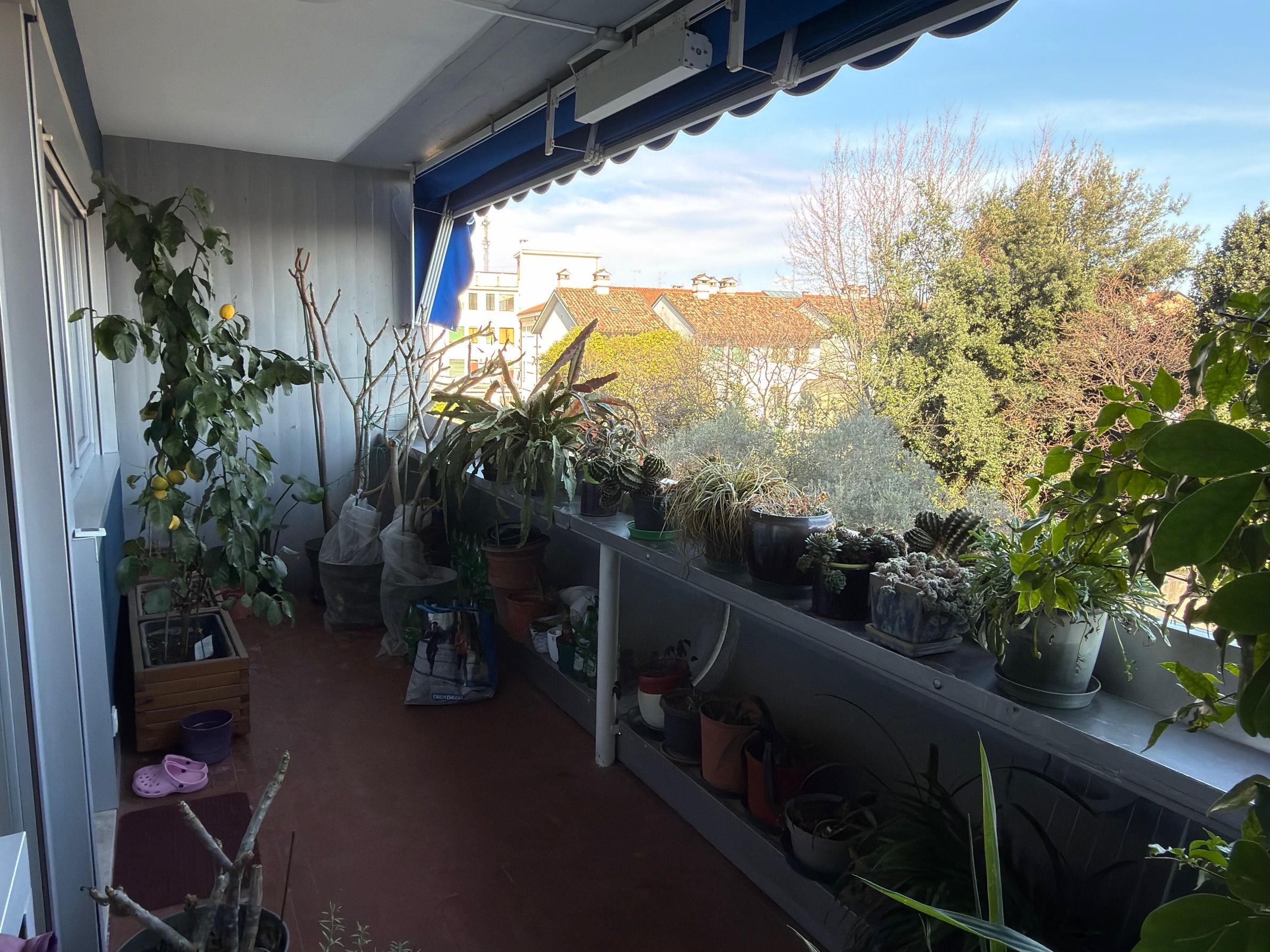 Media numero 7 di Via Grazzano - Tricamere biservizi ristrutturato, garage.