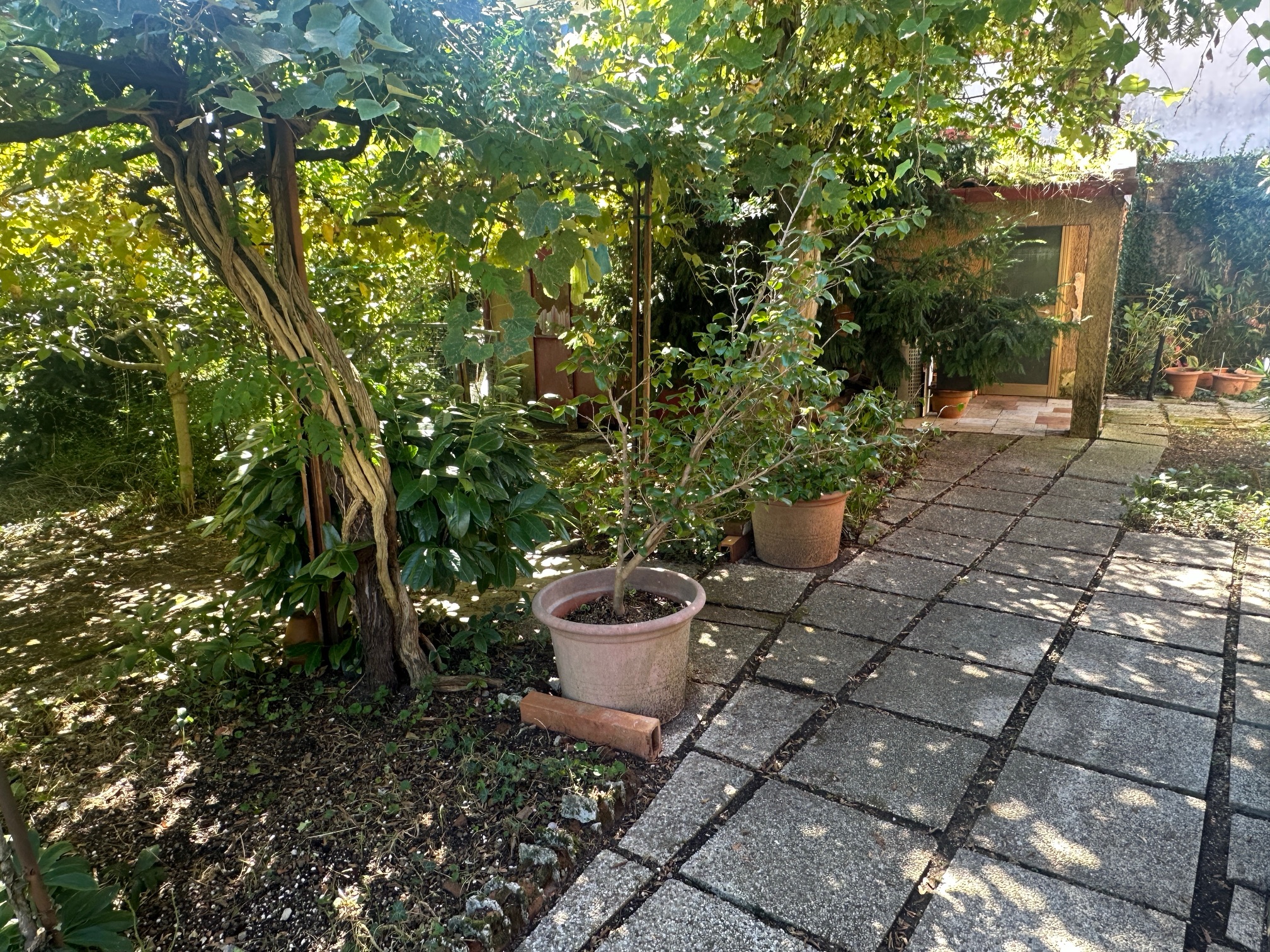 Media numero 5 di Via Buttrio interni  - Casa indipendente