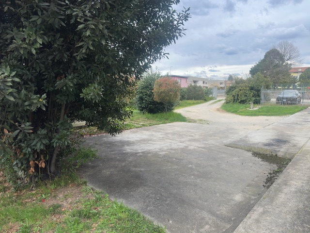 Media numero 23 di Capannoni con appartamento