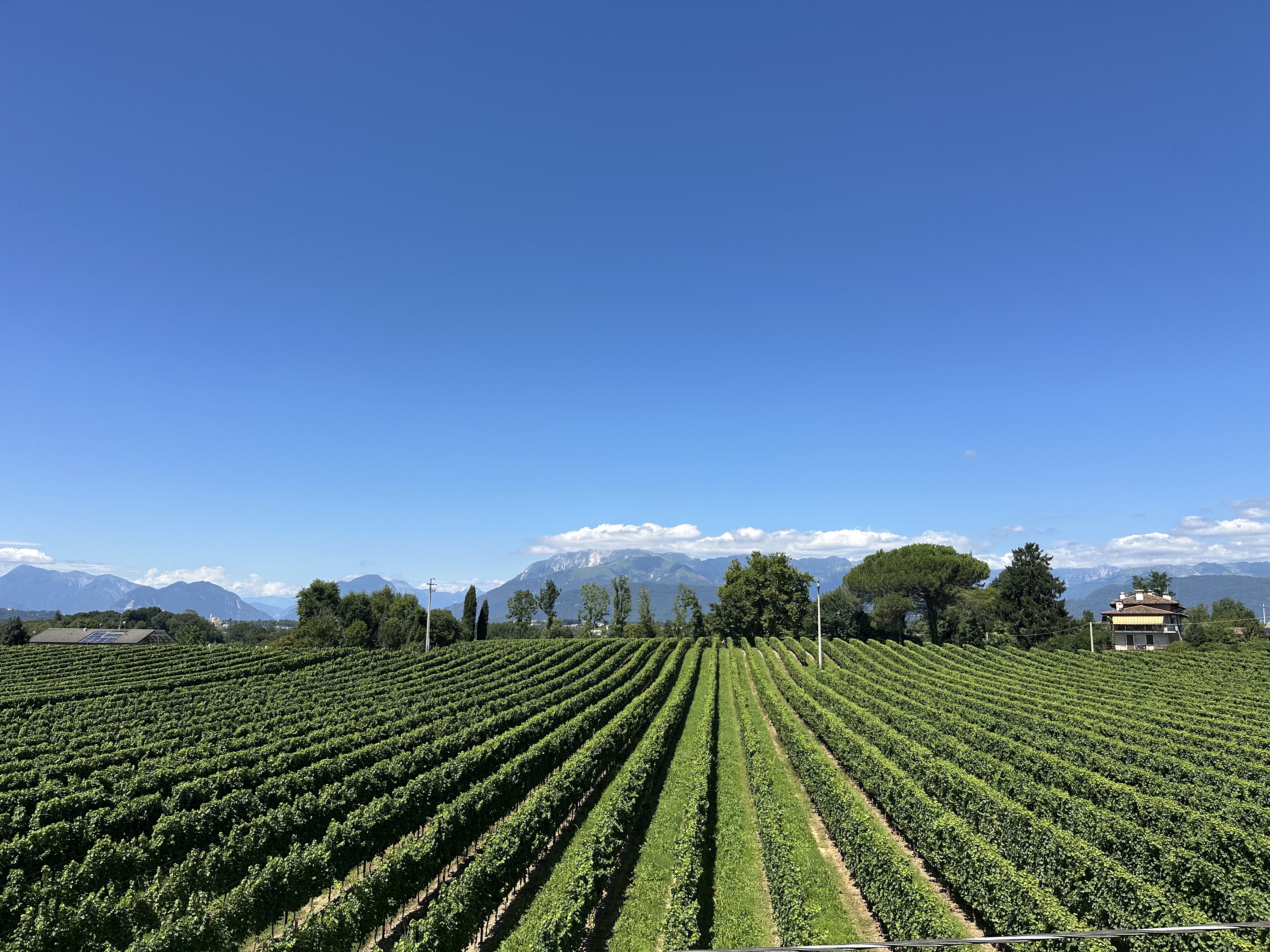 Media numero 12 di Tricesimo - Casa in corte